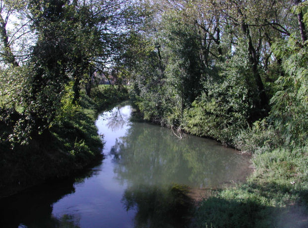 Il torrente Astichello in viale Cricoli